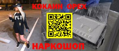 амф Кингисепп