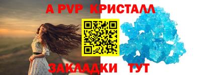 амф Кингисепп