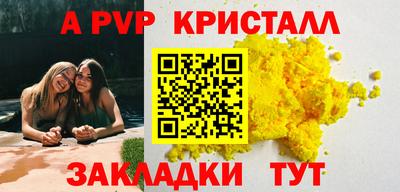 амф Кингисепп
